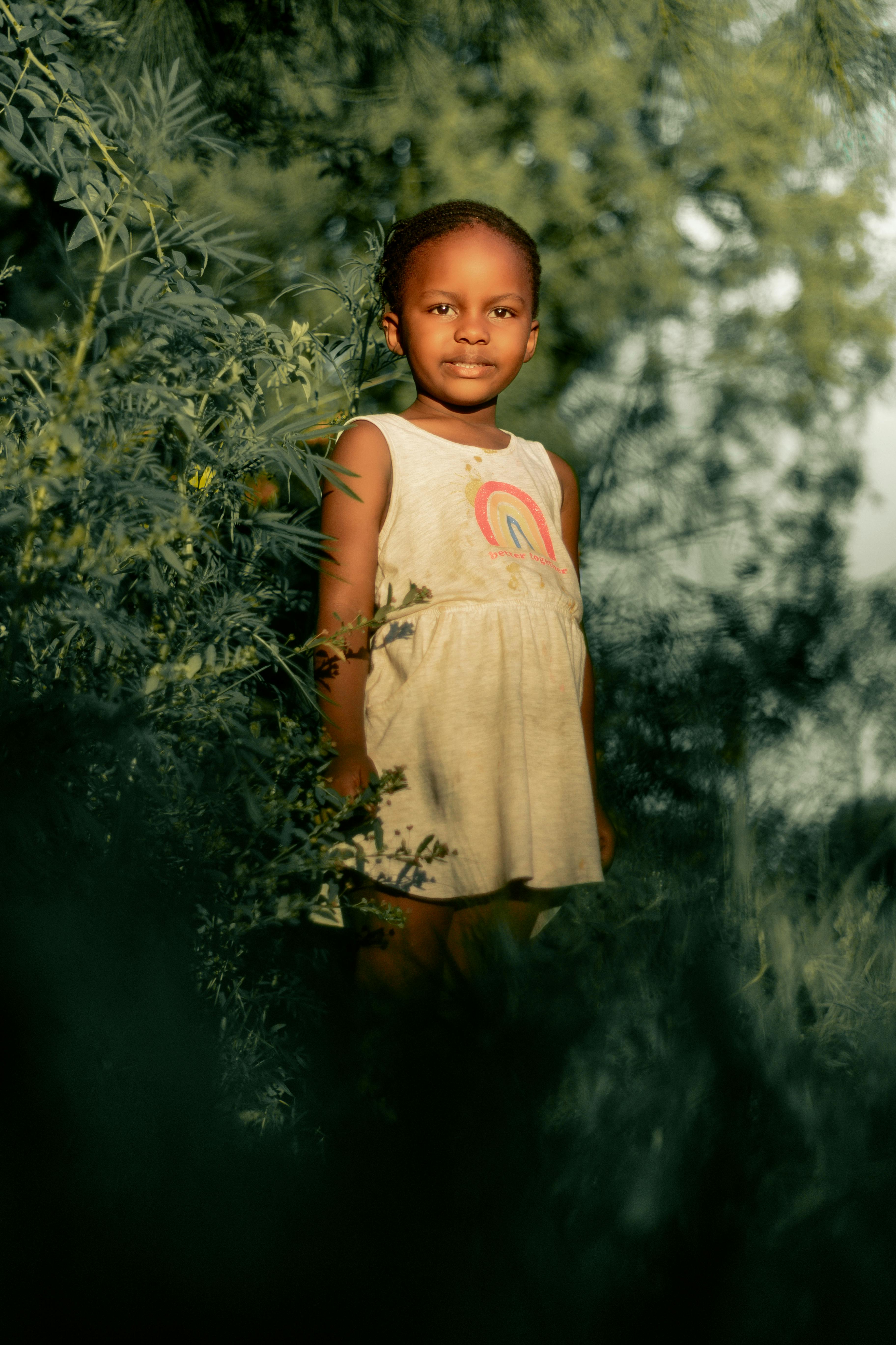 实时热度榜榜单封面:海风的证词