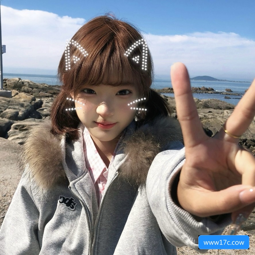 永久免费使用www17c.cow网站的方法和注意事项有哪些