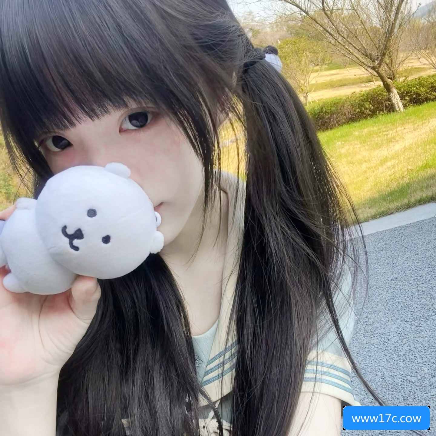 关于www17c.cow域名的用途和安全性分析你了解吗