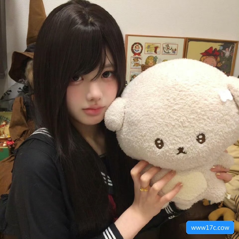 关于www17c.cow网站的使用方法与安全性分析