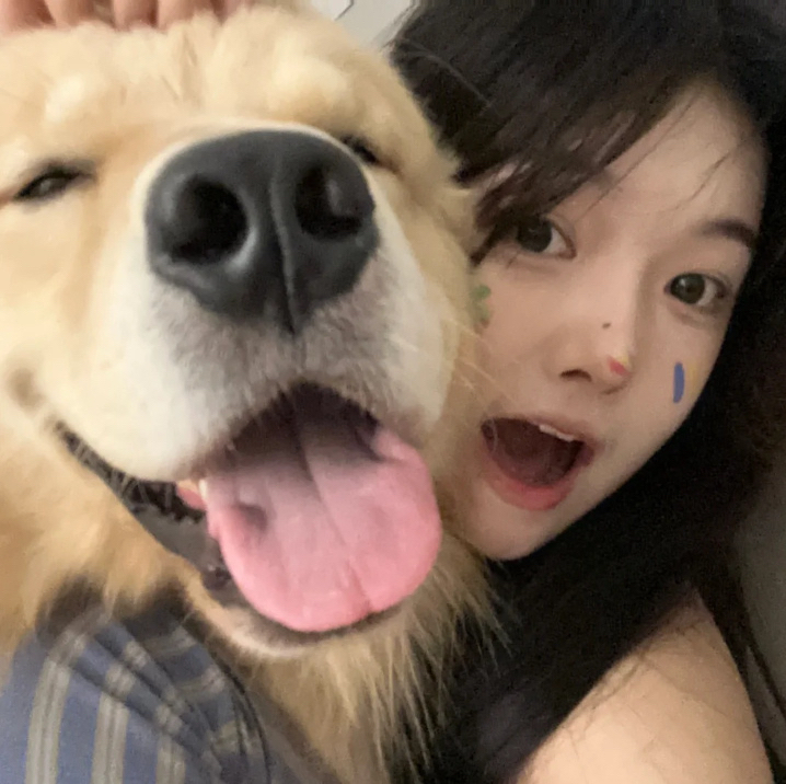 Fancy Ice Cream Cupcakes